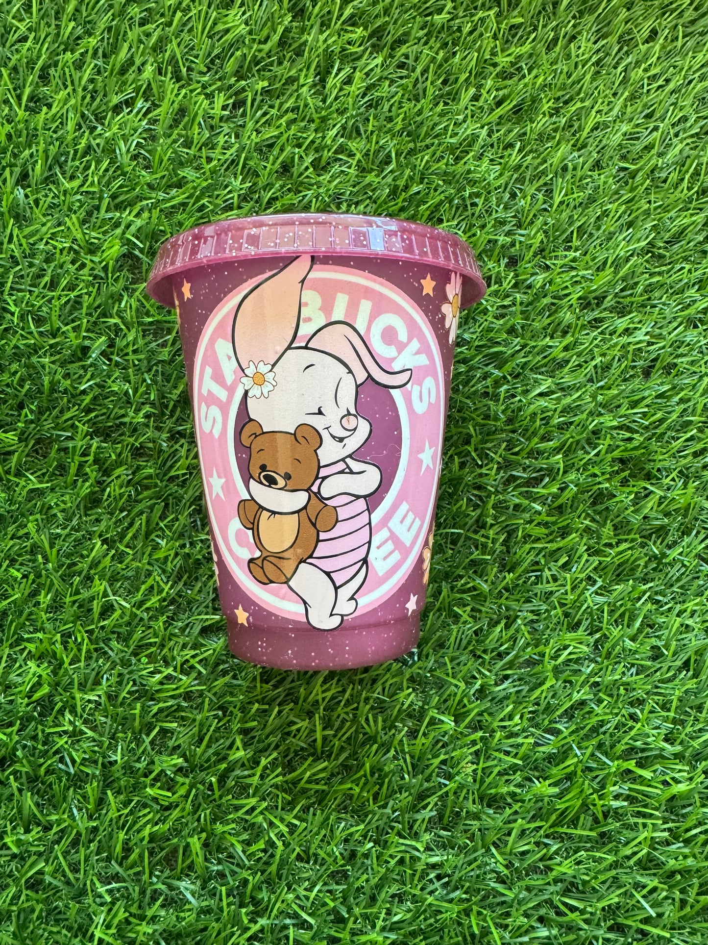 SB Pig- Plastic