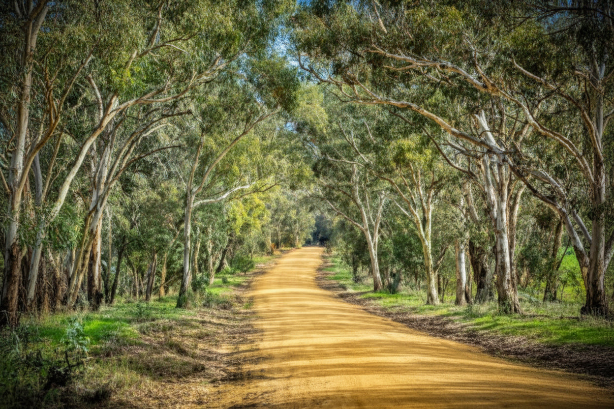 Australian Bush